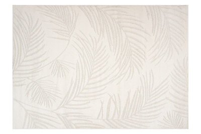 Szőnyeg  FR2536 CREAM TERRA CREAM  - Modern szőnyeg