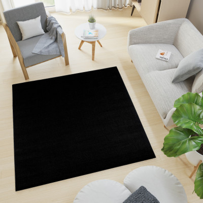 Koberec  6365A BLACK MONO GNH  - Moderný koberec