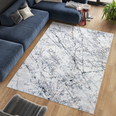 Koberec  2409019D VENEZIA PRINT 