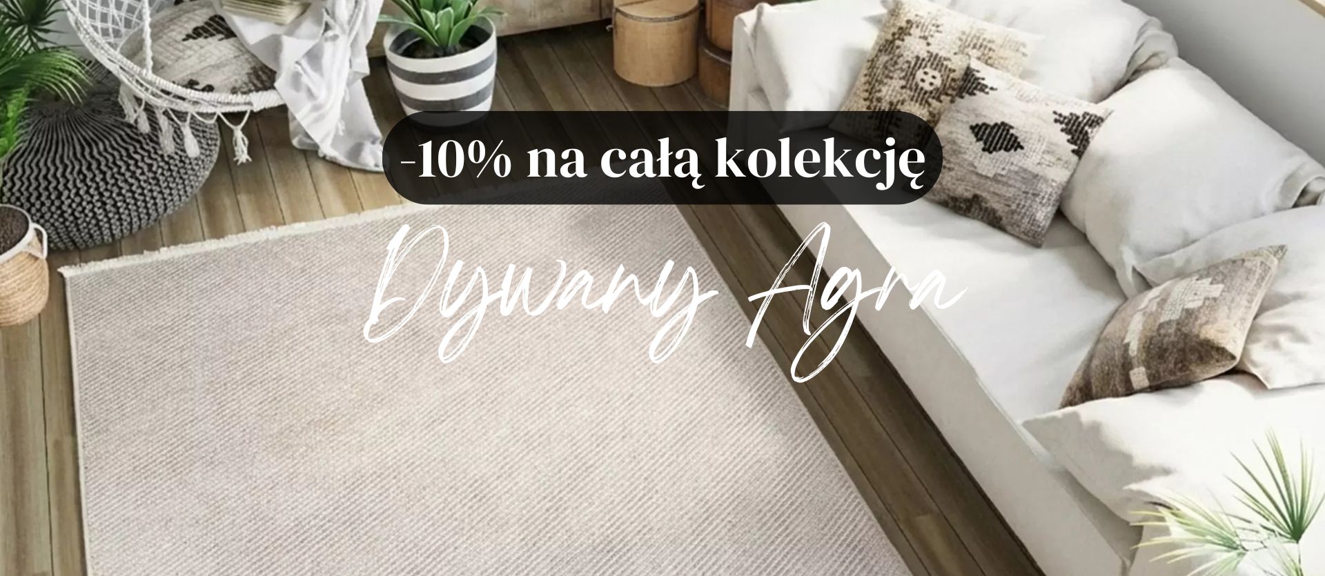 Dywany Chemex
